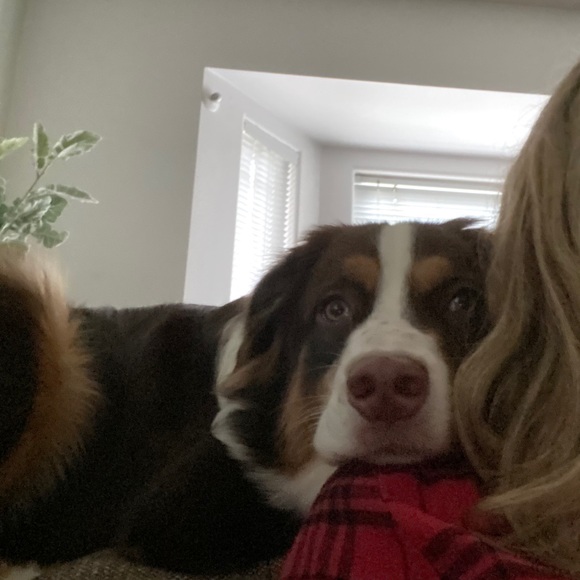 Meet your Posher, Jennifer - Picture 1 of 2